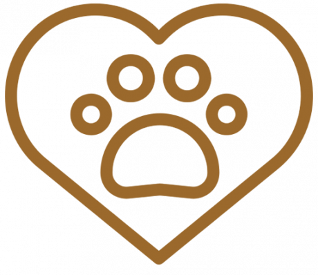 Café Hidalguense_imagen